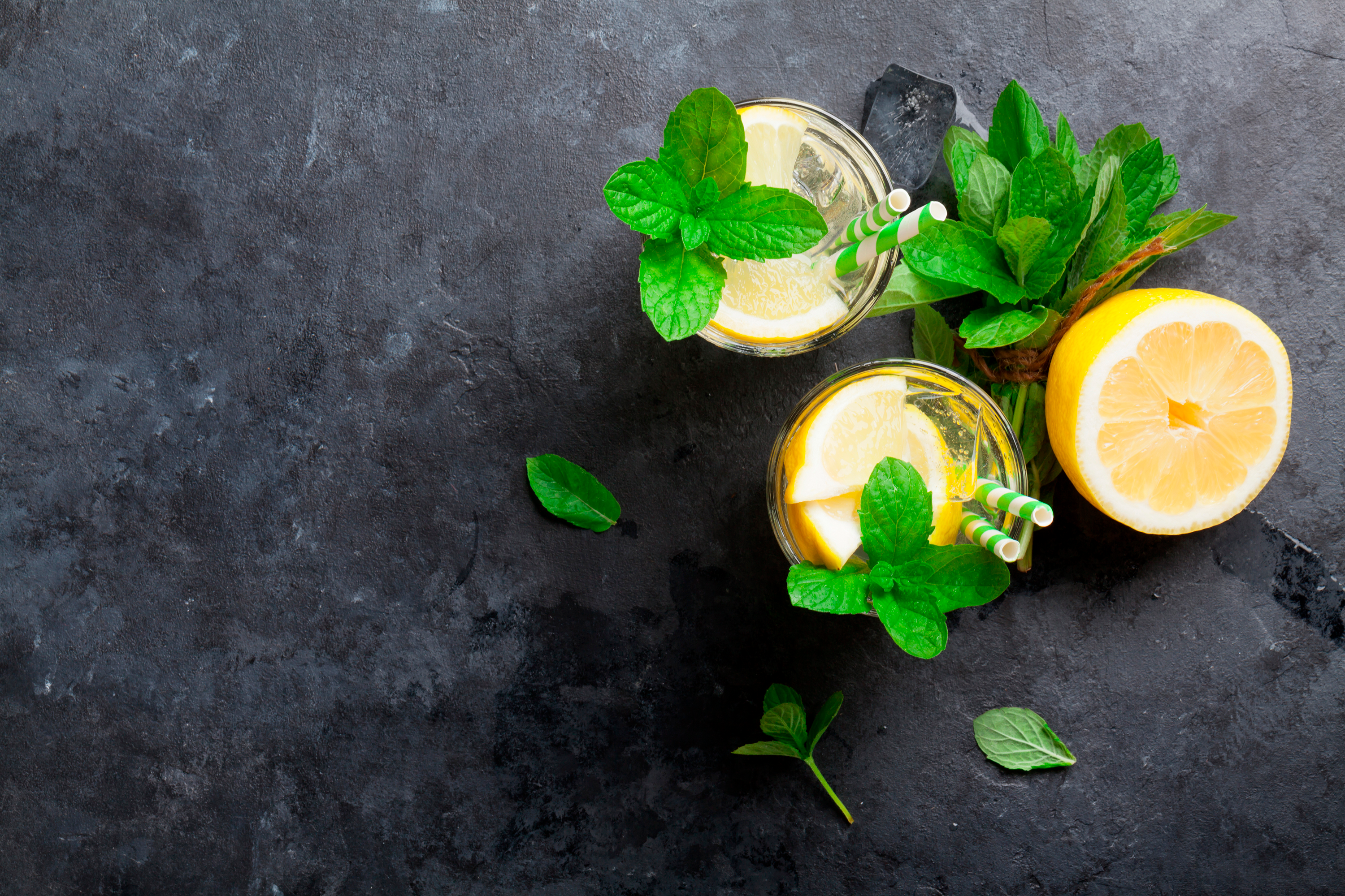 Panamanian Mule